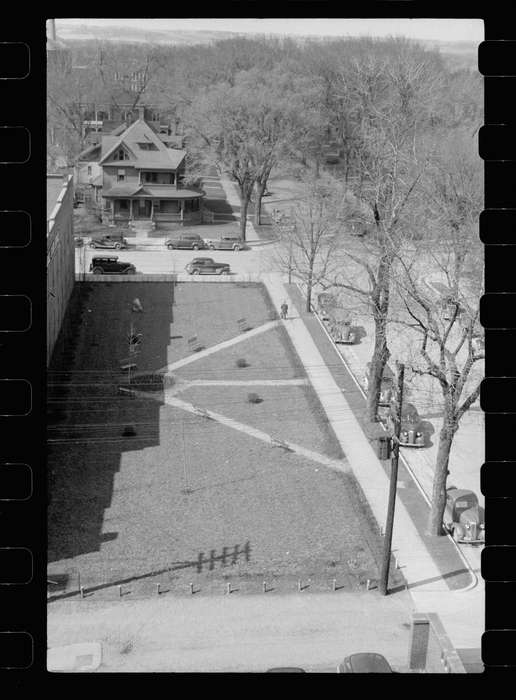 tree, cars, history of Iowa, Library of Congress, car, house, Iowa History, Iowa, sidewalk