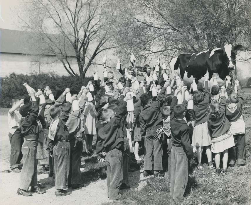 toast, cattle congress, IA, historic, Animals, holstein, milk, United States, Waterloo, Children, national cattle congress, history, holstein cow, Photos, Black Hawk, cow, ia, Grout Museum of History and Science, milk bottle, Iowa