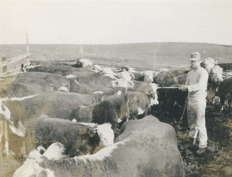 Farms, hose, cap, history, historic, Portraits - Individual, ia, Iowa, cow, hill, Coon Rapids Enterprise, Animals, farmer, Photos
