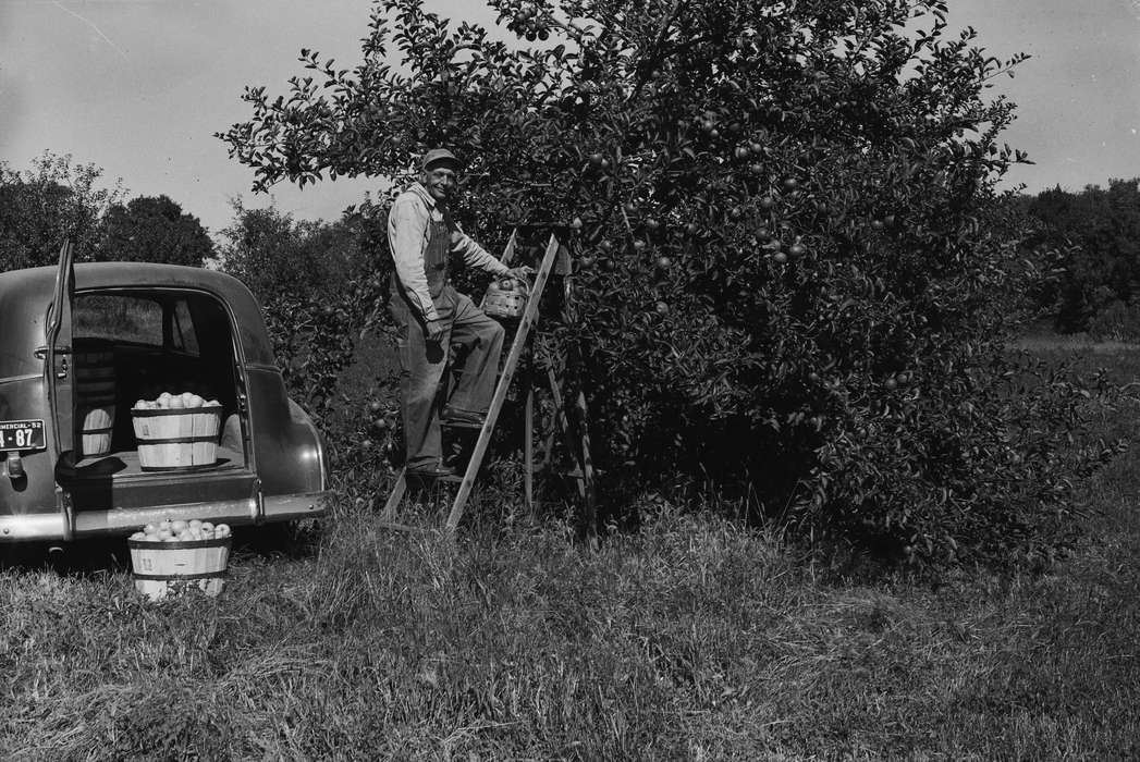 history, prairie grass, Photos, Labor and Occupations, ladder, Iowa, IA, Motorized Vehicles, baseball cap, Portraits - Individual, overalls, apple tree, United States, ia, car, bushel baskets, Coon Rapids Enterprise, historic, Coon Rapids