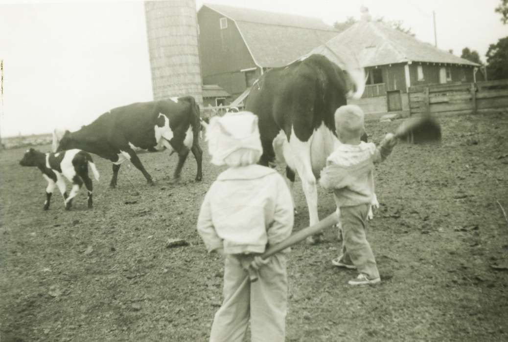 Children, Leisure, dairy cow, Alta Vista, IA, Barns, Iowa History, Iowa, cattle, Brus, Mildred, Farms, Families, Animals, silo, history of Iowa