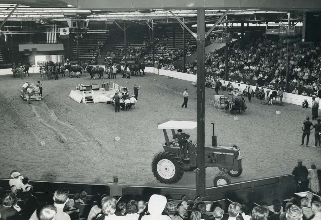 Farming Equipment, Animals, Photos, history, ia, historic, audience, Iowa, horses, crowd, horse race, john deere tractor, IA, Black Hawk, Waterloo, horse team, Fairs and Festivals, Grout Museum of History and Science, tractor, United States