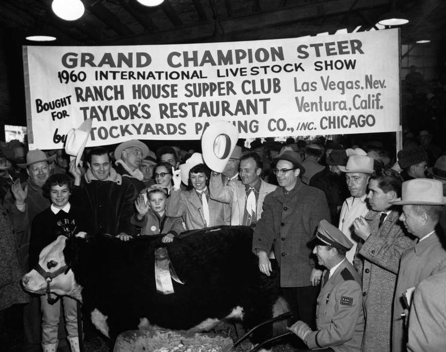 steer, champion, history of Iowa, Iowa History, glasses, Chicago, IL, Buch, Kaye, hat, Fairs and Festivals, show, Iowa, bull