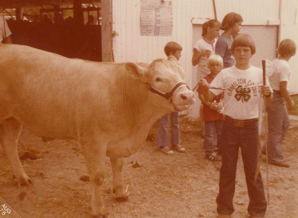 Fairs and Festivals, Animals, 4-h, Portraits - Individual, bull, county fair, Iowa History, Iowa, history of Iowa, Webster City, IA, Hegland, Merlyn, Children