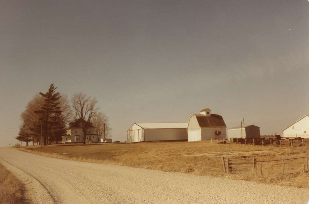 Albion, IA, cow, Iowa, house, Homes, Barns, Iowa History, history of Iowa, Siebring, Kathy, Farms, rural
