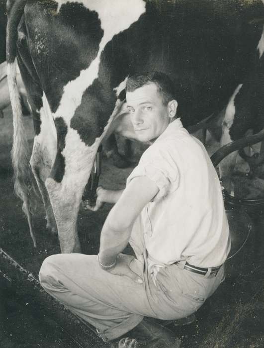 history, historic, Portraits - Individual, ia, Iowa, cow, Coon Rapids Enterprise, Animals, Photos