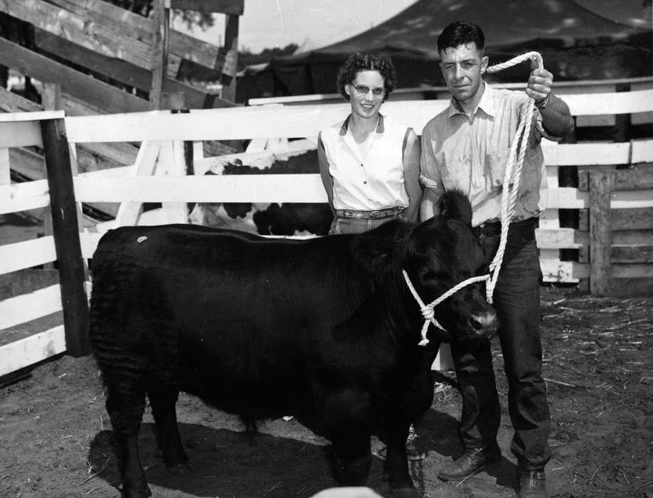 Farms, Animals, Buch, Kaye, Iowa History, lasso, fence, history of Iowa, Benton County, IA, Portraits - Group, bull, Iowa