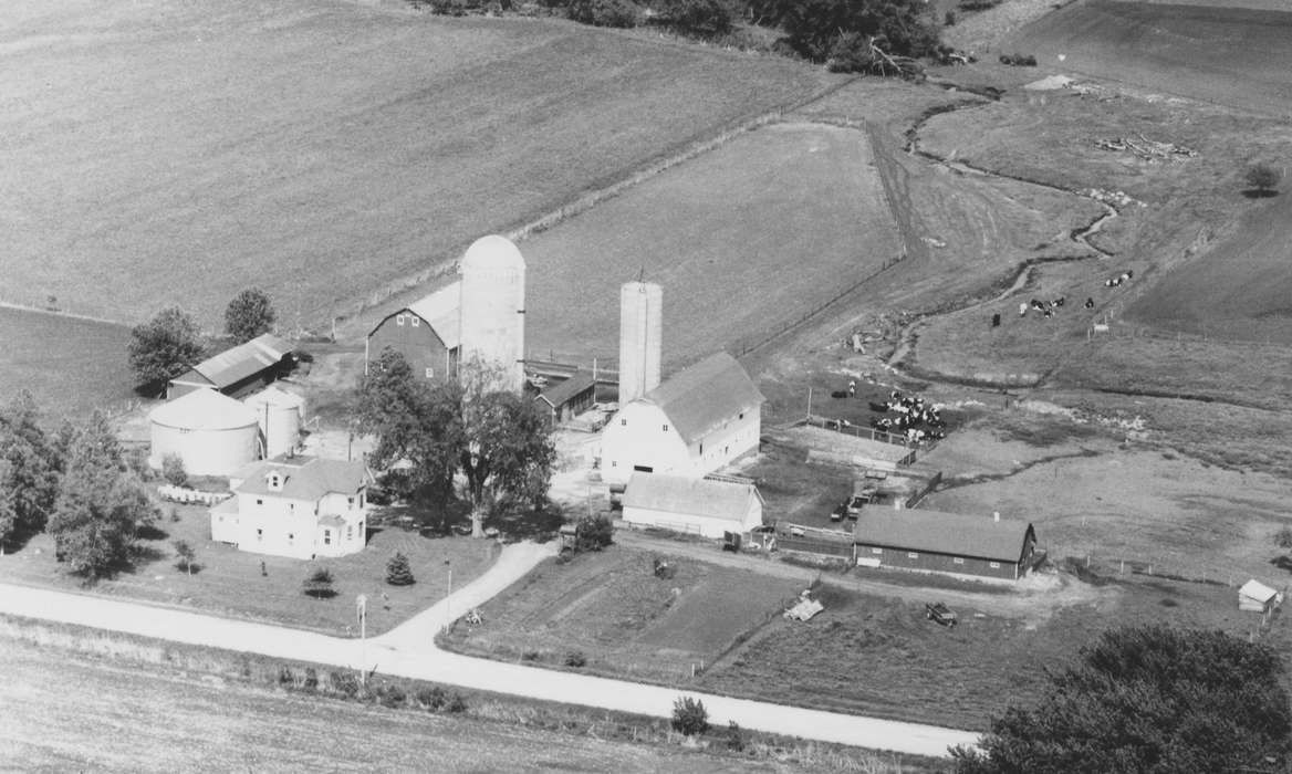 Coggon, IA, Barns, Harken, Nichole, cow, Aerial Shots, grain bin, Iowa History, history of Iowa, Farms, Iowa, Homes, silo