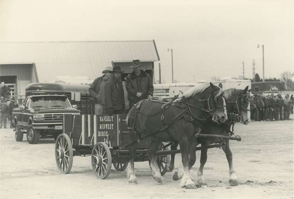 Waverly, IA, Iowa, Waverly Public Library, Civic Engagement, Animals, Motorized Vehicles, truck, horse and buggy, Iowa History, history of Iowa